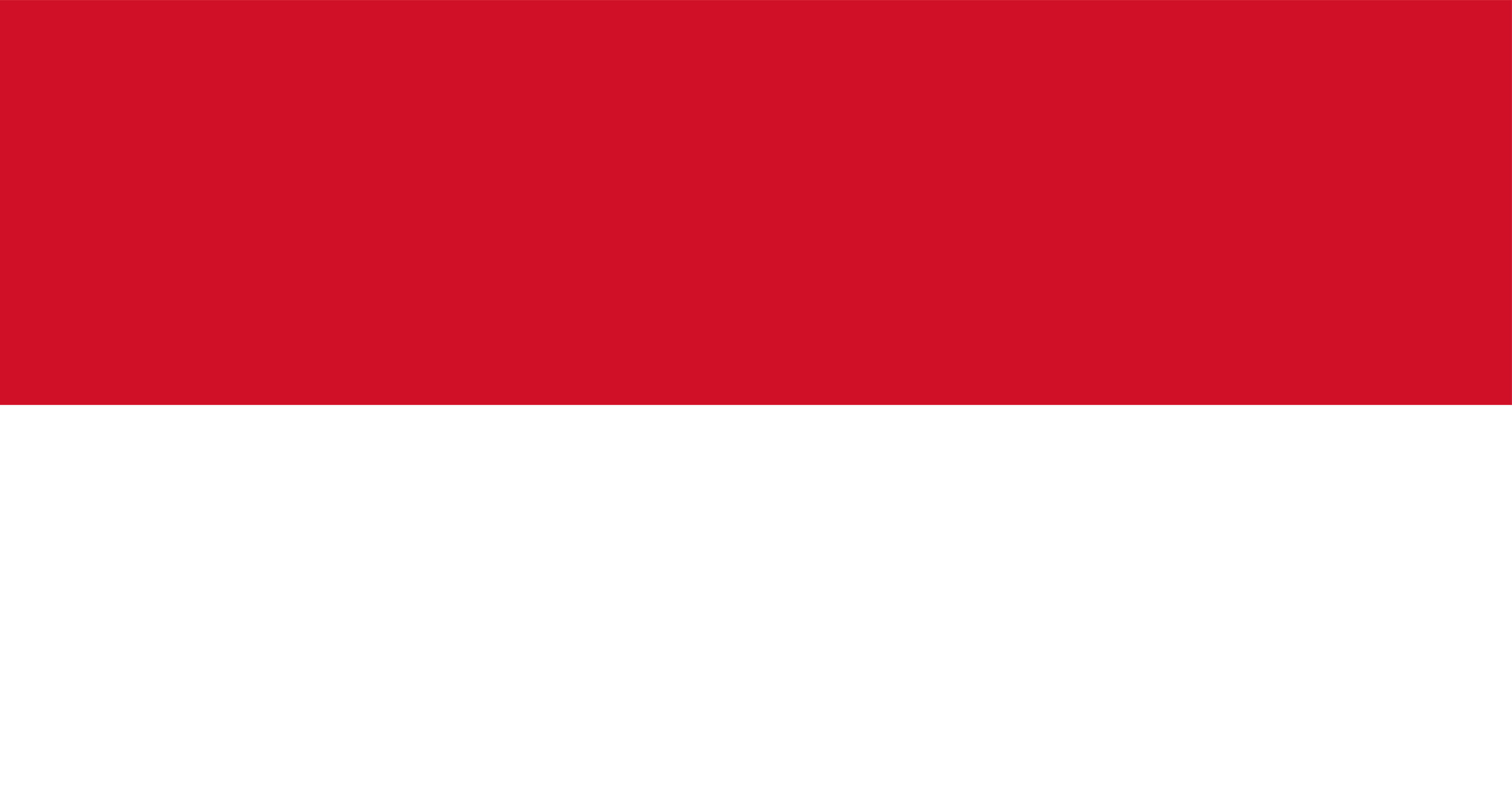 polonia.jpg