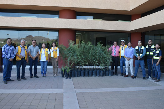 ITSON Guaymas recibe donación de árboles