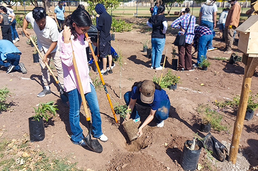​Inicia ITSON la Semana de los Polinizadores 2025