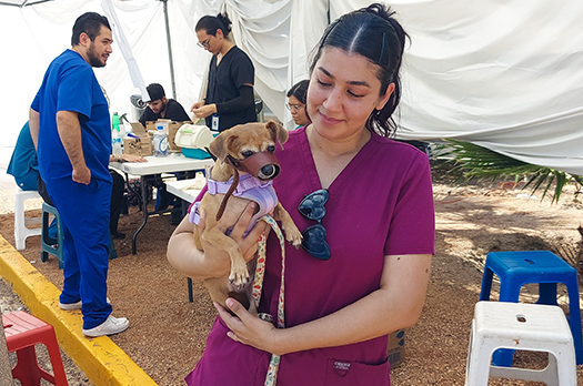 Realiza Jornada de Vacunación y Esterilización para perros y gatos